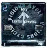 Lynyrd Skynyrd: Vicious Cycle