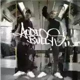 Audio Bullys: Ego War