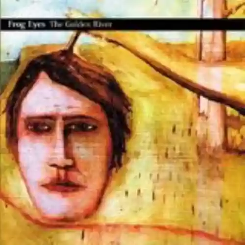 Cover di The Golden River