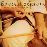 Bruce Cockburn: Dart to the Heart