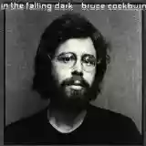 Bruce Cockburn: In the Falling Dark