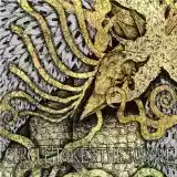 Circle Takes the Square: As the Roots Undo