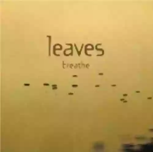 Cover di Breathe