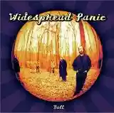 Widespread Panic: Ball