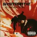 Systematic: Pleasure To Burn