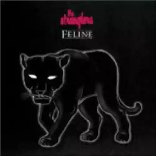 Cover di Feline