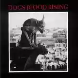 Current 93: Dogs Blood Rising