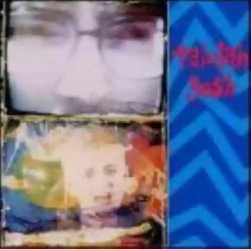 Cover Talulah Gosh - Backwash