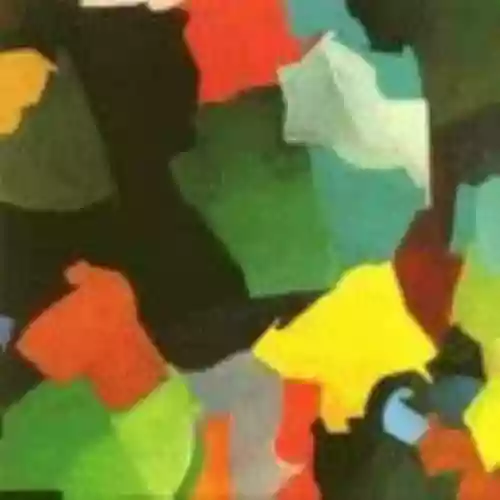 Cover The Olivia Tremor Control - Hideaway