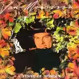 Van Morrison: A Sense Of Wonder