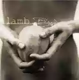 Lamb: Between darkness and wonder