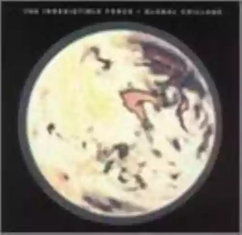 Cover The Irresistible Force - Global Chillage