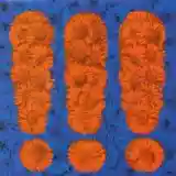 !!!: !!!