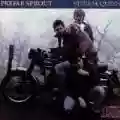 <b>Prefab Sprout</b> • Steve McQueen