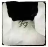 Foo Fighters: There Is Nothing Left To Lose