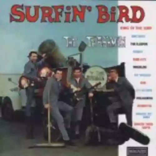 Cover di Surfin' Bird