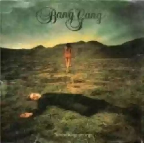 Cover di Something Wrong