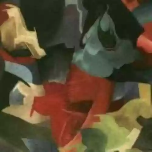 Cover The Olivia Tremor Control - Black Foliage: Animation Music, Volume 1