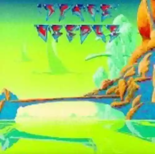 Cover Space Needle - The Moray Eels Eat the Space Needle
