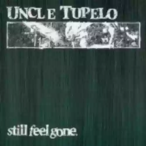 Cover di Still Feel Gone