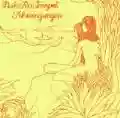 <b>Ash Ra Tempel</b> • Schwingungen