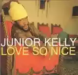 Junior Kelly: Love So Nice