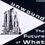 Cover di The Future of What