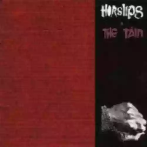 Cover di The Táin
