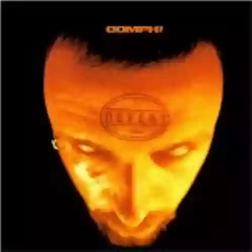 Cover di Defekt