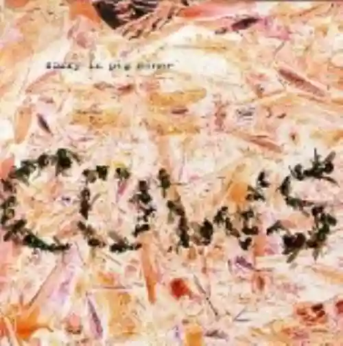 Cover di Sorry in Pig Minor