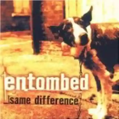 Cover di Same Difference