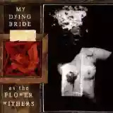 My Dying Bride: As The Flower Withers