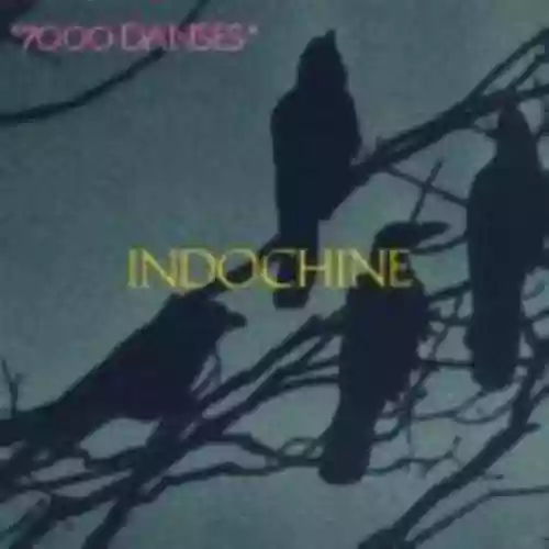 Cover Indochine - 7000 danses
