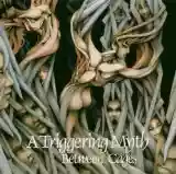 A Triggering Myth: Between cages