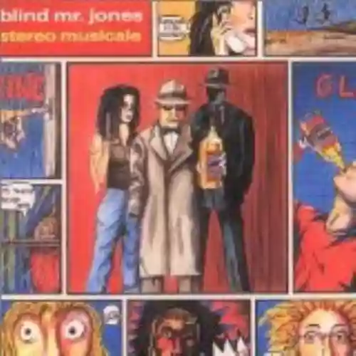 Cover Blind Mr. Jones - Stereo Musicale
