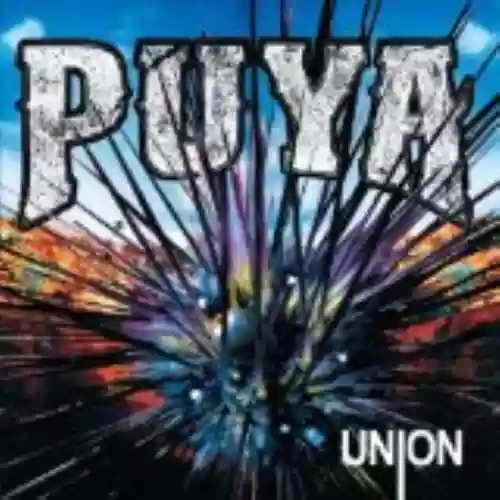Cover di Unión