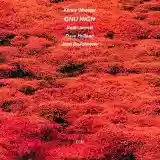 Kenny Wheeler: Gnu High