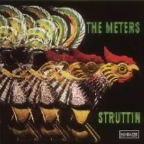 Cover The Meters - Struttin'