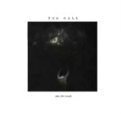 Cover The Call - Into the Woods