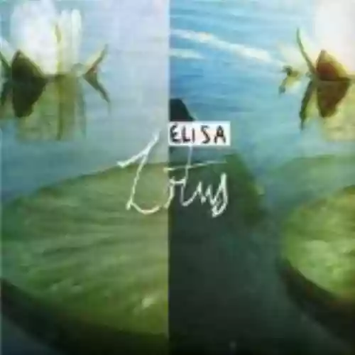 Cover di Lotus