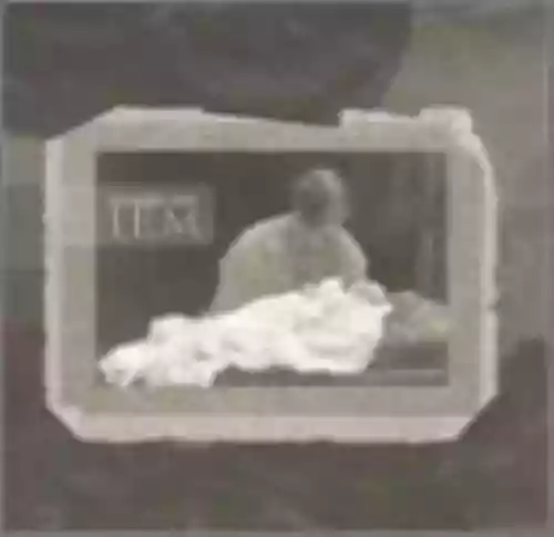 Cover I.E.M. - Arcadia Son