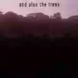 And Also The Trees: And Also The Trees