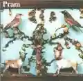<b>Pram</b> • The Museum of Imaginary Animals