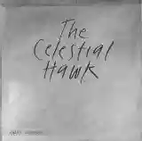 Keith Jarrett: The Celestial Hawk
