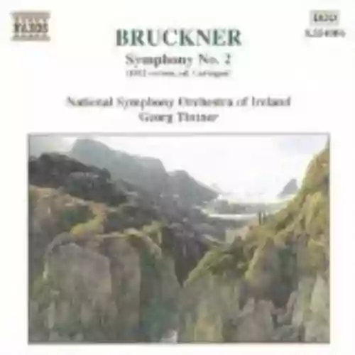 Cover di Symphony No. 2 in C minor (National Symphony Orchestra of Ireland feat. conductor: Georg Tintner)