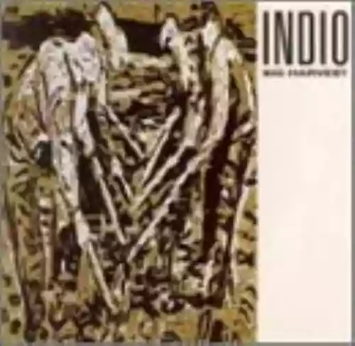 Cover Indio - Big Harvest