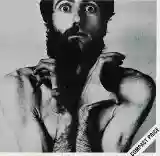 Peter Hammill: The Future Now