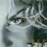 Irene Grandi: Irek