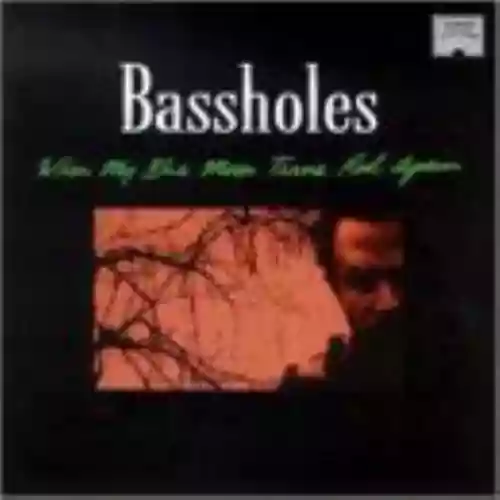 Cover Bassholes - When My Blue Moon Turns Red Again
