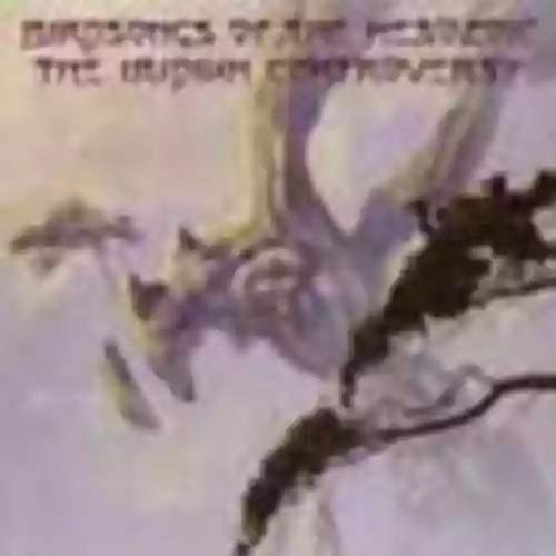 Cover di The Iridium Controversy